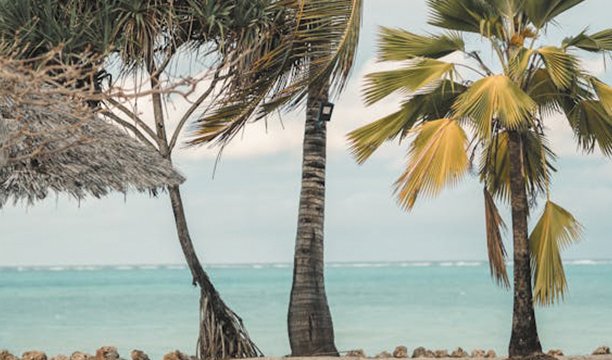 Zanzibar Spice Island