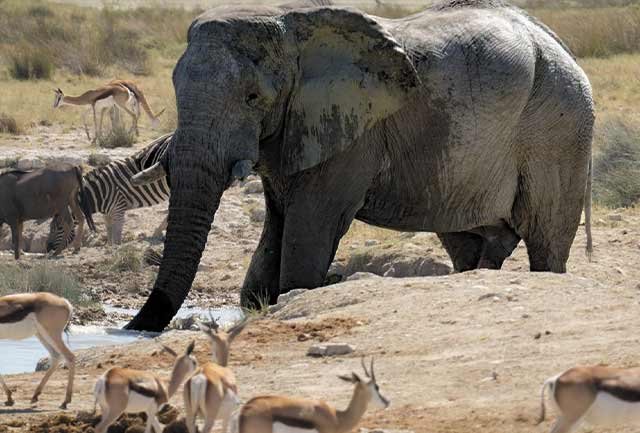 Tarangire National Park - Image 2