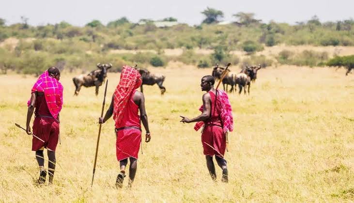 2-Day Maasai Walking Safari – Manyara & Arusha Cultural Adventure - Image 2