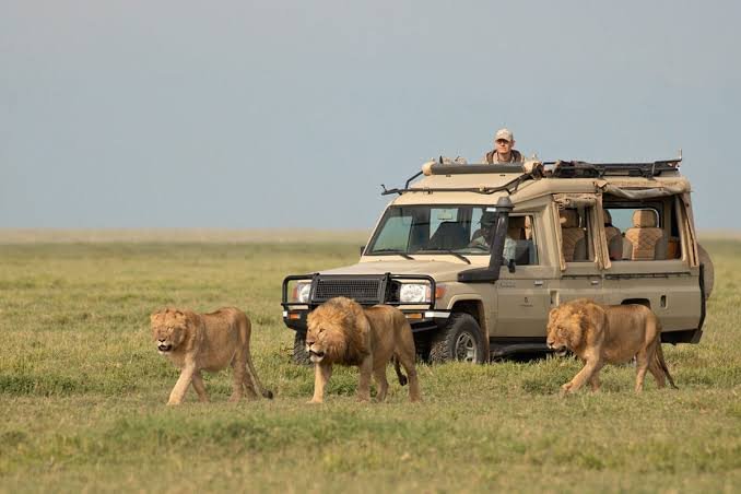2-Day Tarangire Group Safari – Affordable Wildlife Adventure