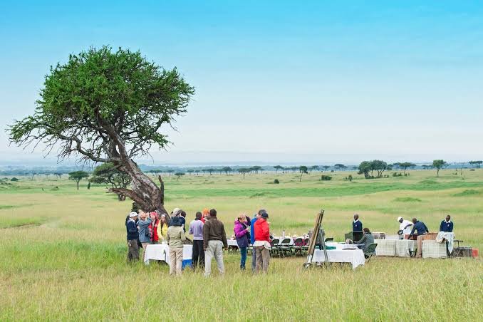 2-Day Tarangire Group Safari – Affordable Wildlife Adventure - Image 2