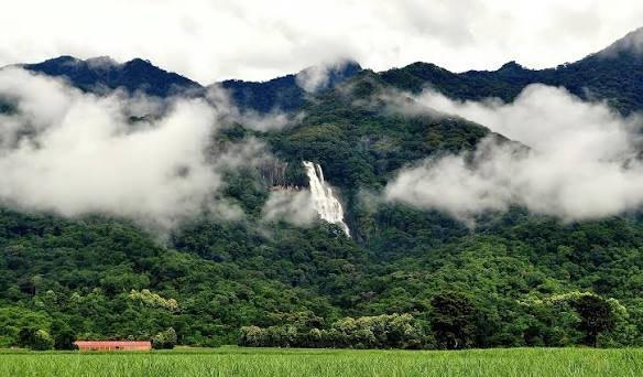 Udzungwa Mountains National Park – 2-Day Safari Adventure