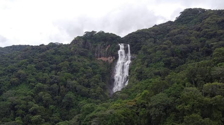 Udzungwa Mountains National Park – 2-Day Safari Adventure - Image 2