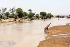 Lake Eyasi Day Tour – Cultural Safari