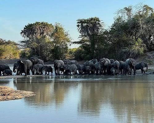 Private and Group Tour – Lake Manyara Safari