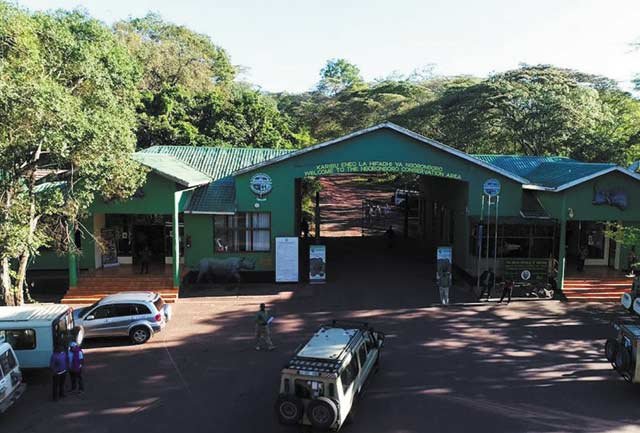 Ngorongoro Crater Safaris - Image 1