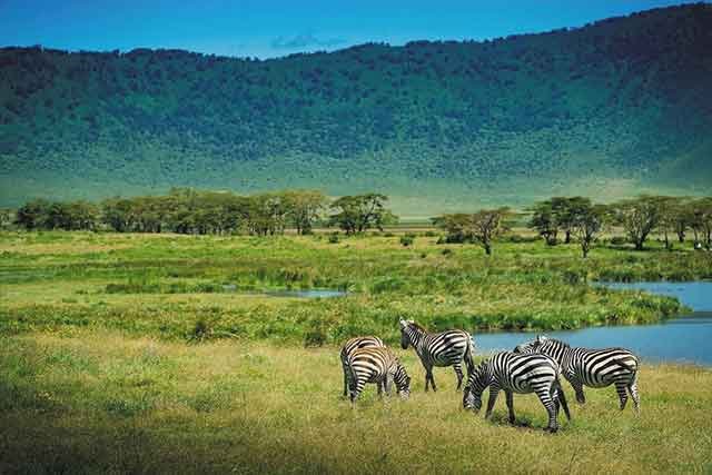 Arusha & Ngorongoro Crater - Image 1
