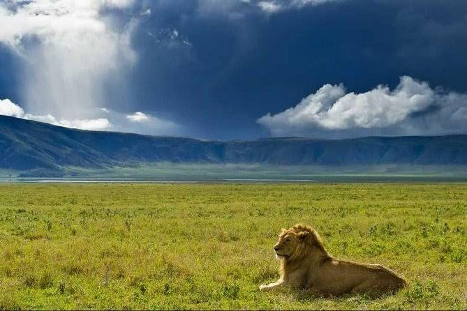 Arusha & Ngorongoro Crater - Image 2