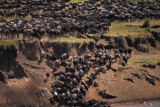 Lake Manyara, Tarangire - Ngorongoro Crater