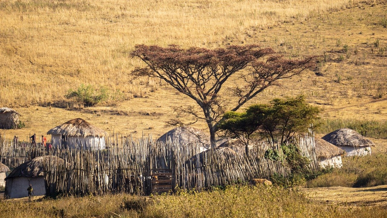 Nyerere, Mikumi and Udzungwa Mountains