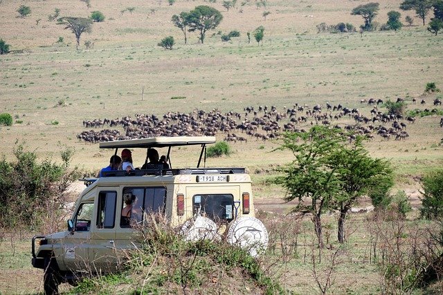 Tarangire, Serengeti, Ngorongoro Crater & Lake Manyara