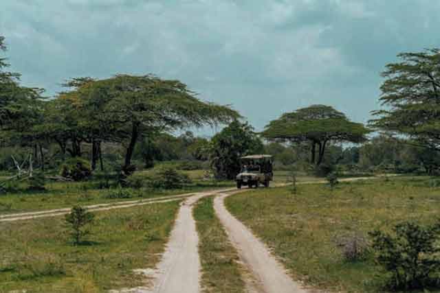Arusha, Tarangire, Serengeti, Ngorongoro & Tarangire National Park Safaris