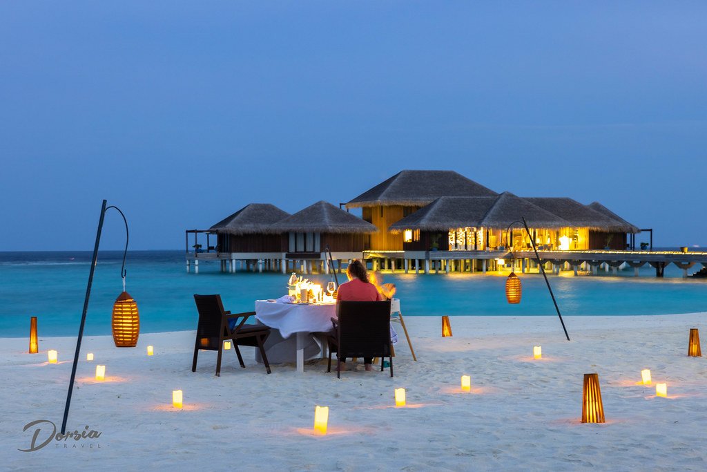 Best Zanzibar Safaris adventures - Image 2
