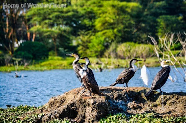 Best Lake Natron Safaris - Image 1